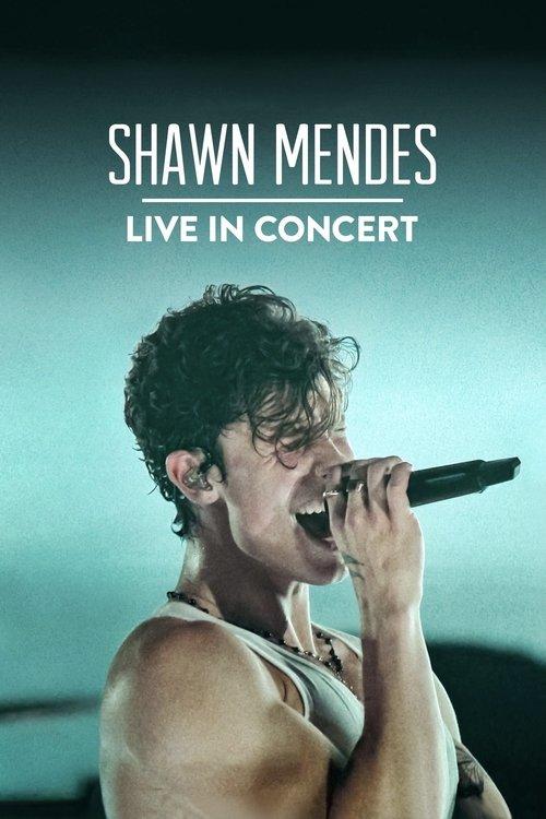 Shawn Mendes: Live in Concert filmas online