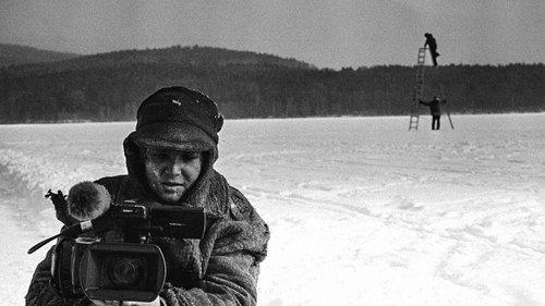 11 Colours of the Bird filmas žiurėti online