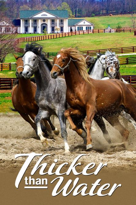 Thicker Than Water filmas online