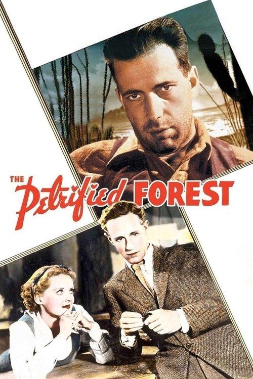 The Petrified Forest filmas online