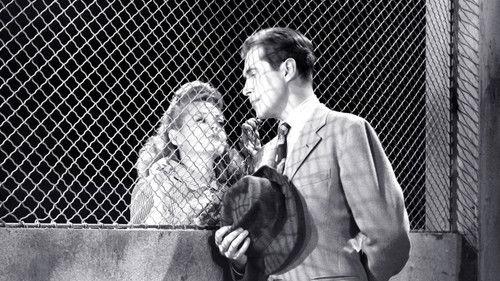 Girls in Chains filmas žiurėti online