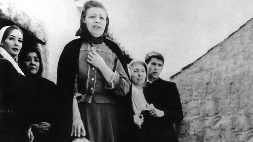 The Crime of Aldeia Velha filmas žiurėti online