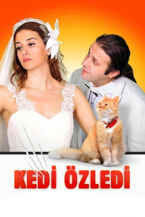 Kedi Özledi filmas online