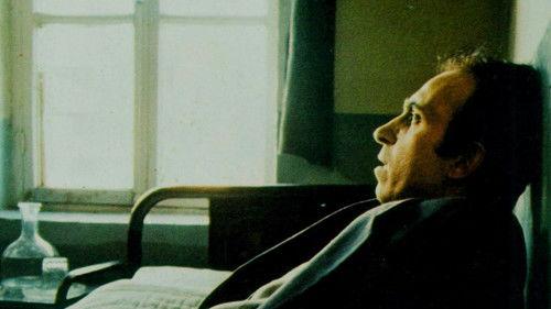 Motherland Hotel filmas žiurėti online