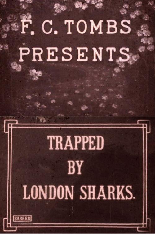 Trapped by London Sharks filmas online