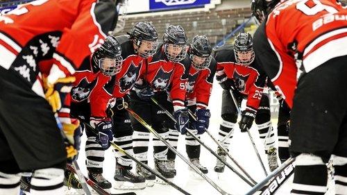 Smečka filmas žiurėti online