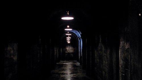 Bunkeris filmas žiurėti online