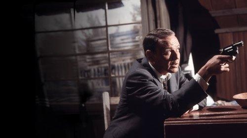 Lady in Cement filmas žiurėti online