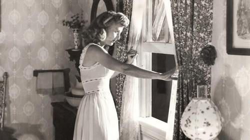 The Moonlighter filmas žiurėti online