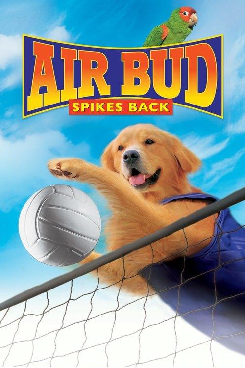 Air Bud: Spikes Back filmas online