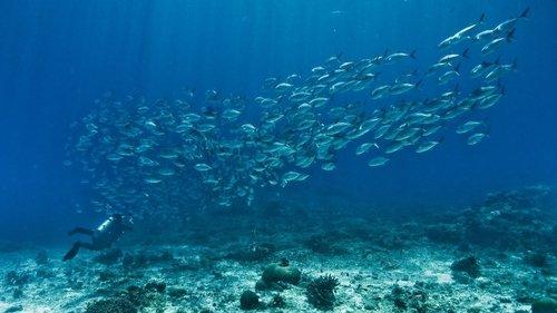 The End of the Line filmas žiurėti online