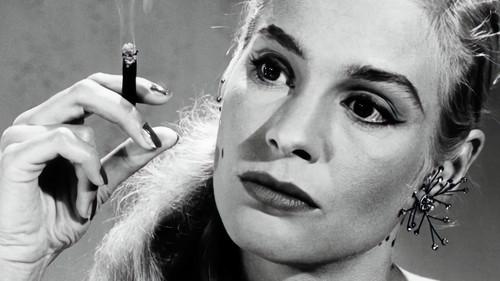 Web of Desire filmas žiurėti online