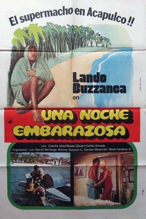 Una noche embarazosa filmas online