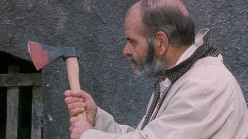 A Cat in the Brain filmas žiurėti online