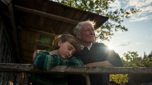 Vasaros knyga filmas žiurėti online