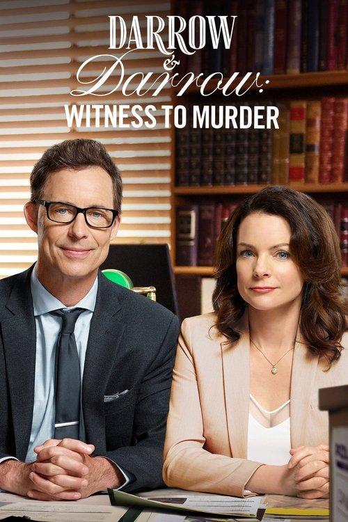 Darrow & Darrow: Witness to Murder filmas online