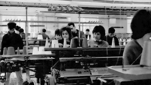 That Something... Else! filmas žiurėti online