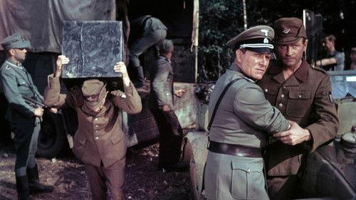 The Last Witness filmas žiurėti online