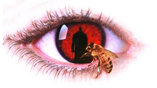 Candyman filmas žiurėti online
