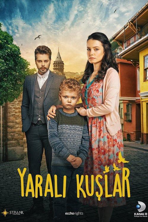 Sužeisti paukščiai filmas online