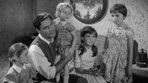 One Fine Day filmas žiurėti online