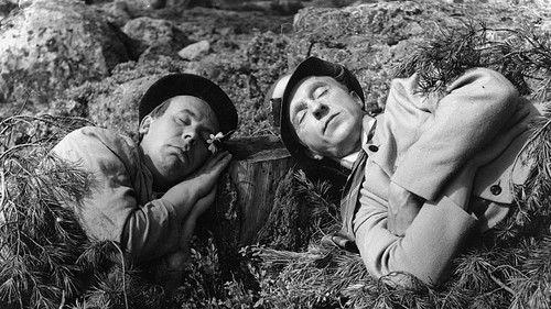 Pekka ja Pätkä salapoliiseina filmas žiurėti online