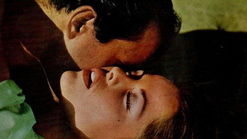 America as Seen by a Frenchman filmas žiurėti online