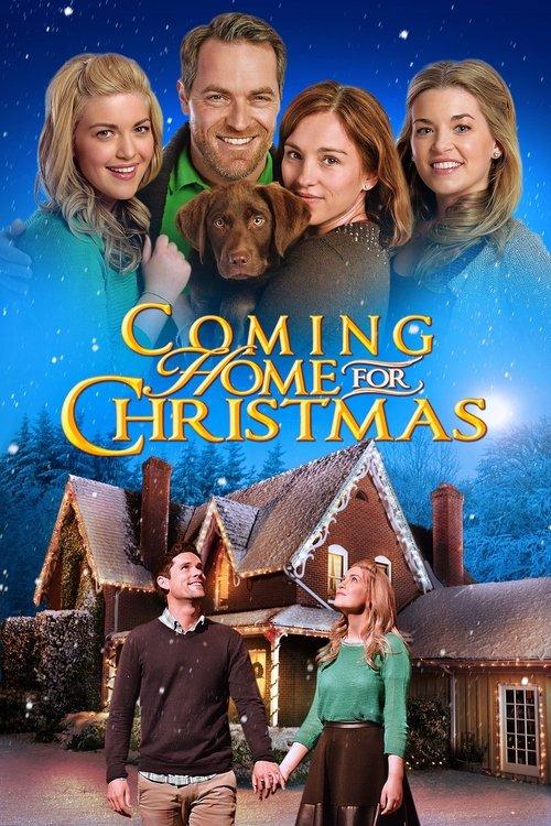 Coming Home for Christmas filmas online