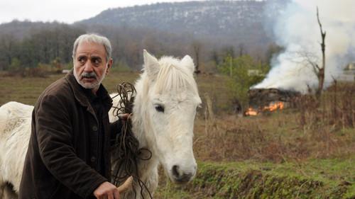 Ziba and I filmas žiurėti online