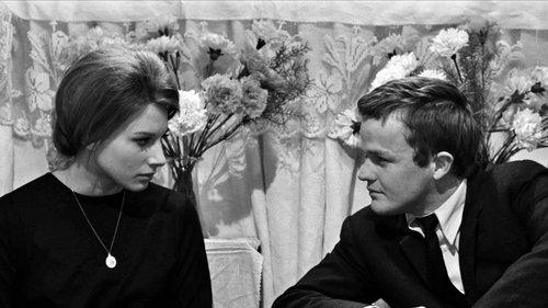 Fists in the Pocket filmas žiurėti online