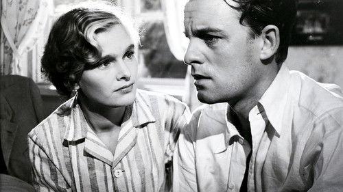 The White Cat filmas žiurėti online