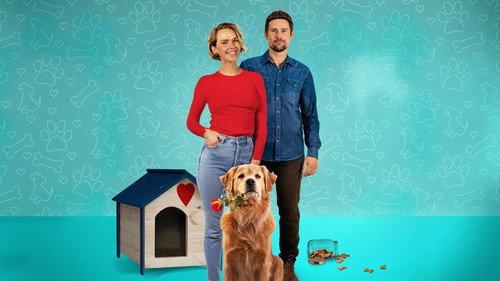 Love Is a Dog's Best Friend filmas žiurėti online