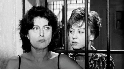 Hell in the City filmas žiurėti online