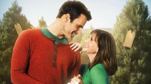 The Christmas Ornament filmas žiurėti online