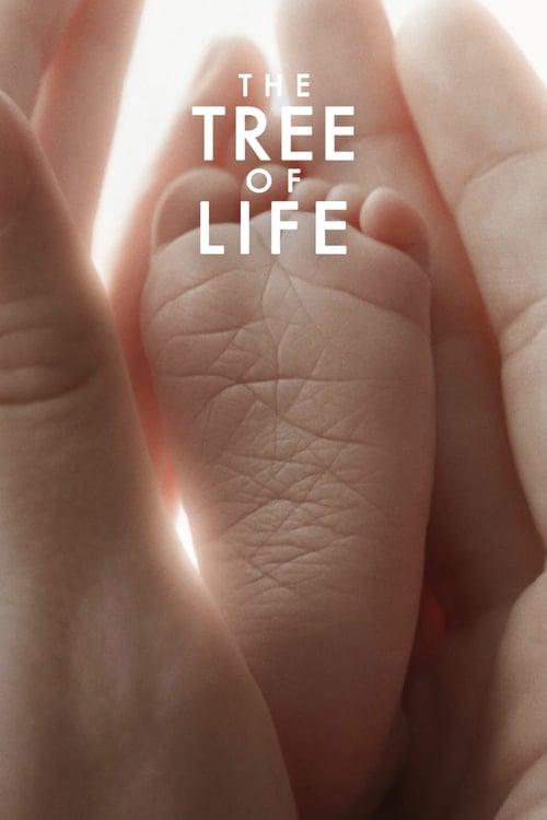 The Tree of Life filmas online