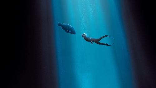 Blueback filmas žiurėti online