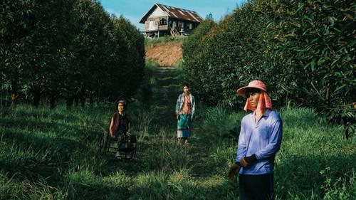 The Paradise of Thorns filmas žiurėti online