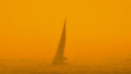 The Last Days of Humanity filmas žiurėti online