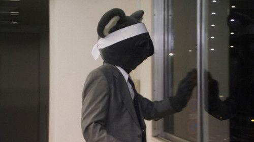 Executive Koala filmas žiurėti online