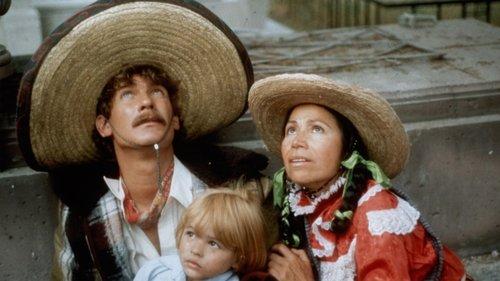 The Stork's Mistake filmas žiurėti online