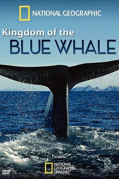 Kingdom of the Blue Whale filmas online
