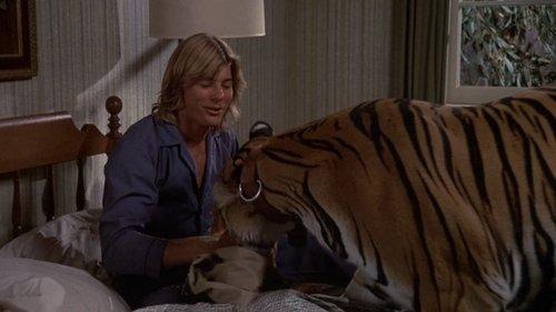 The World's Greatest Athlete filmas žiurėti online