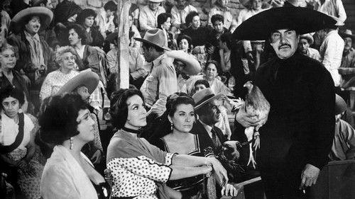 La Bandida filmas žiurėti online