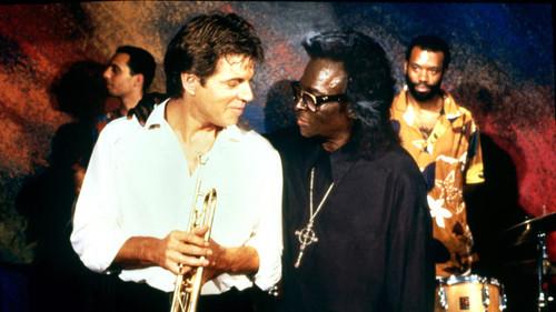 Dingo filmas žiurėti online