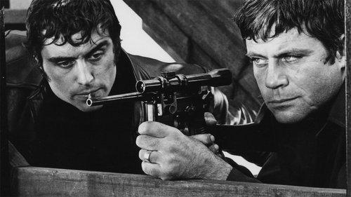 Sitting Target filmas žiurėti online