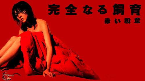 Perfect Education 6 filmas žiurėti online