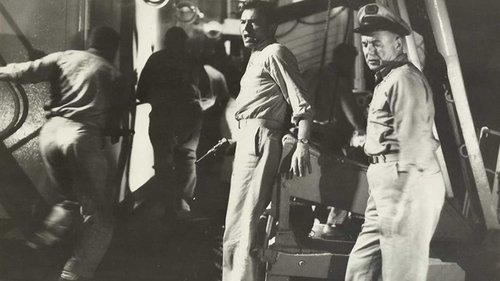 The Decks Ran Red filmas žiurėti online