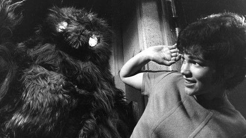 Doctor Who: The Web of Fear filmas žiurėti online