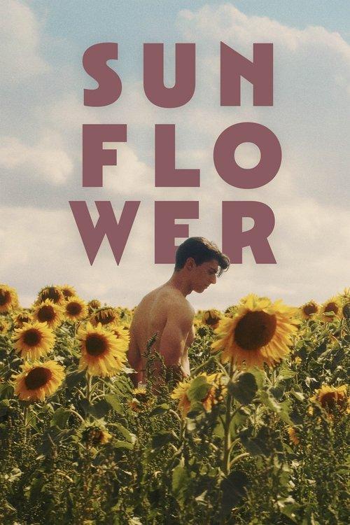 Sunflower filmas online