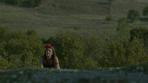 The Seagull filmas žiurėti online